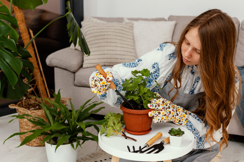 Common Indoor Plant Mistakes to Avoid