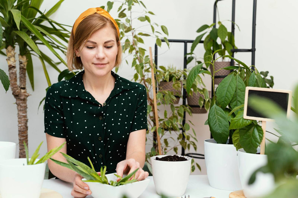 5 Easy Plants for Beginners