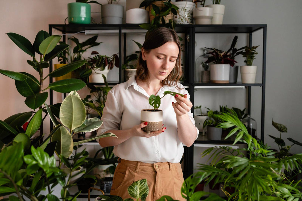 Choosing the Right Plant for Your Home