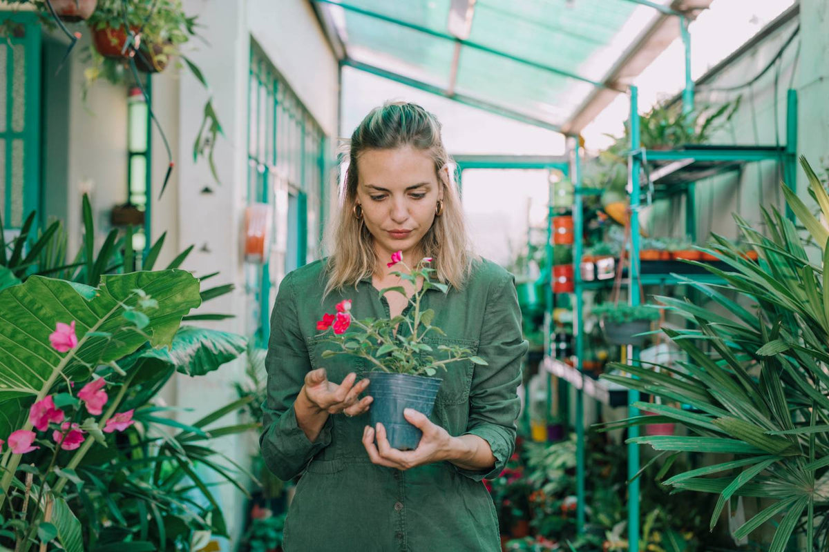 How to Create Your Own Indoor Jungle