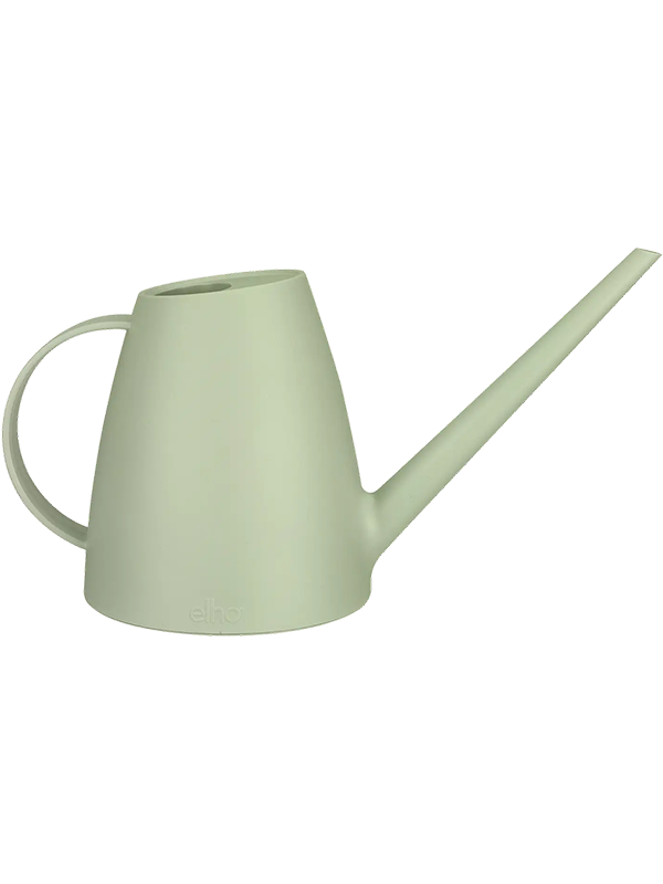 Brussels Watering Can