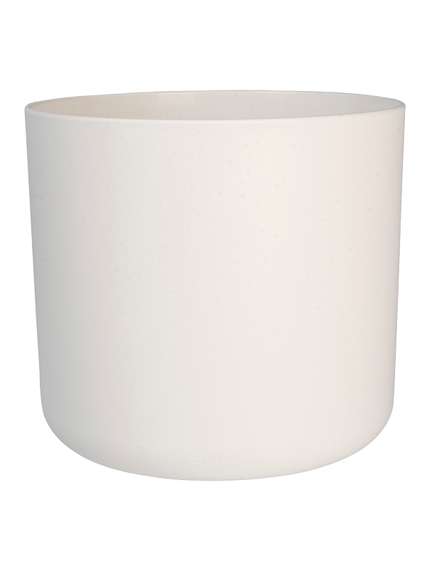 B.For Soft Round White
