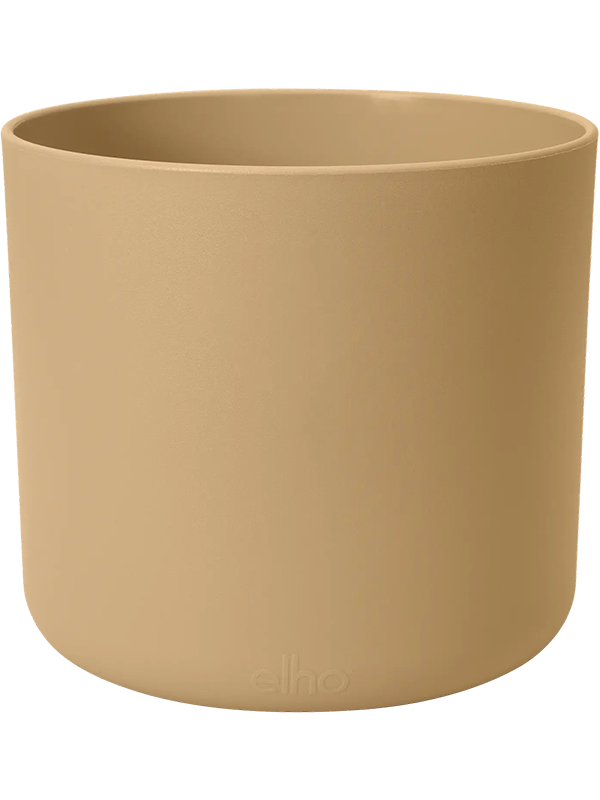 B.For Soft Round Golden Sand