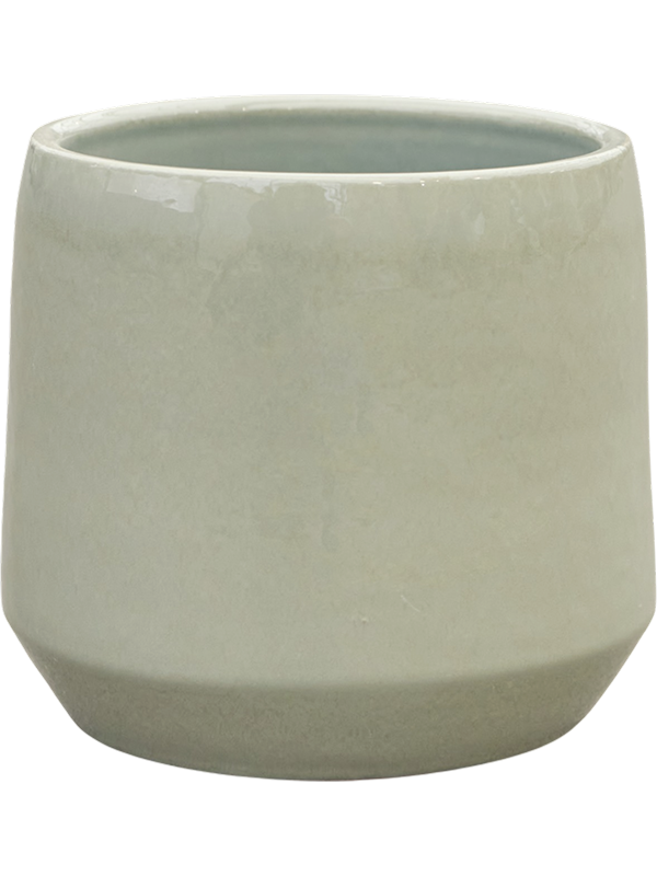 Common Pot Shiny Olive