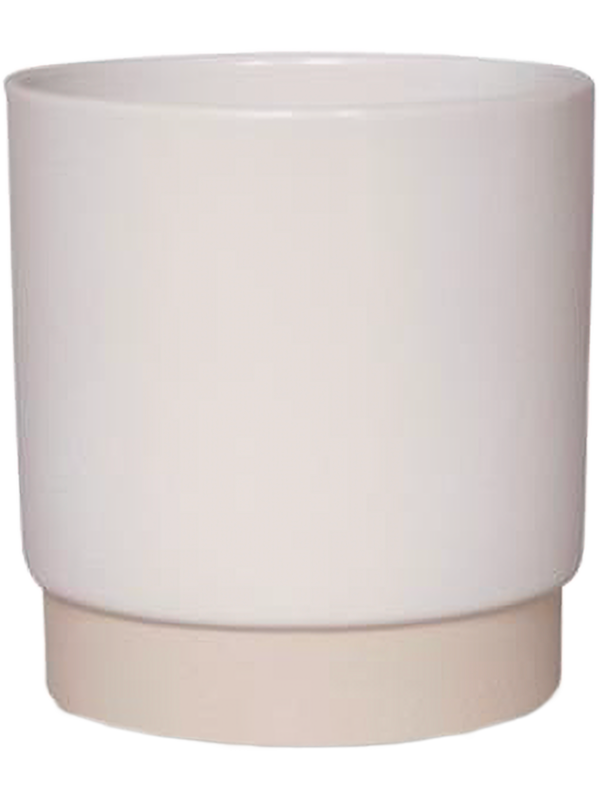 Eno Duo Pot Shiny White