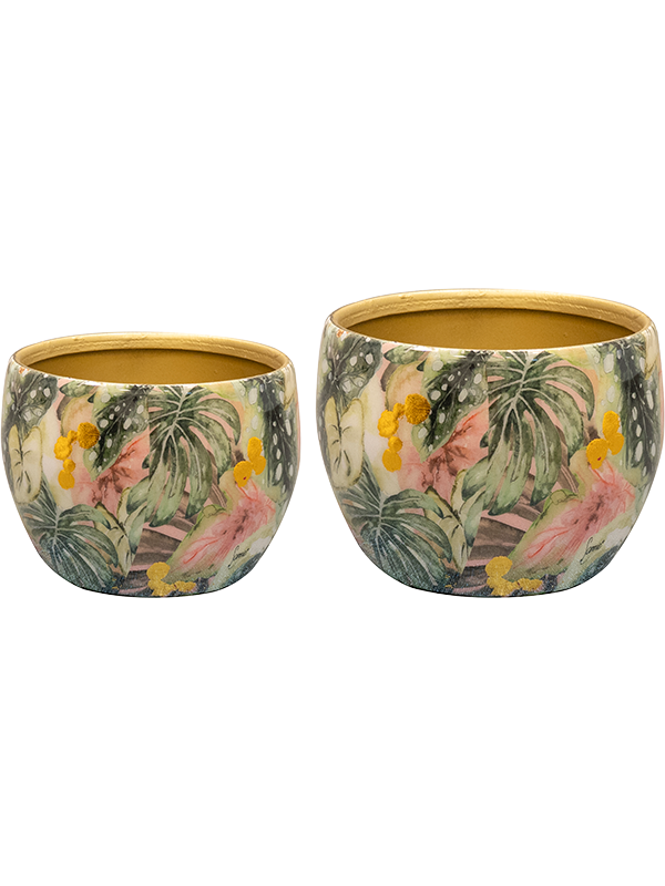 Designed By Lammie Pot Monstera Mystery (set of 2)