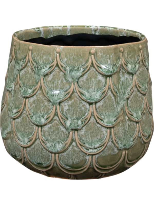 Debby Pot Thyme
