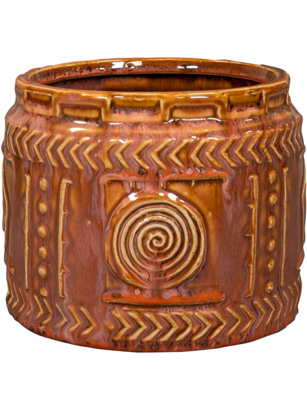 Aztec Pot Coral